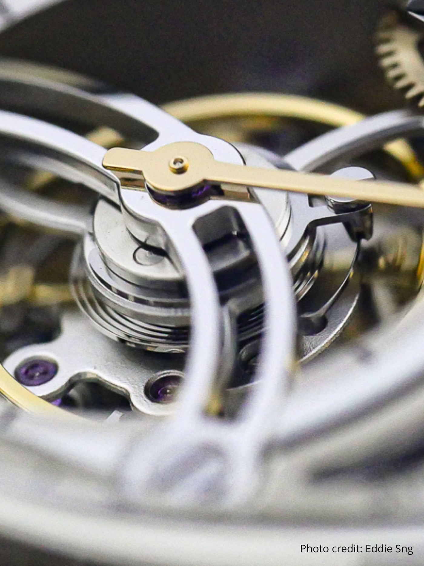 Chapter 4 Skeleton Tourbillon Ice White (bracelet cuir)